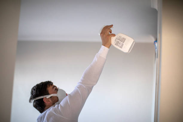 Best Attic Mold Removal  in Newburgh, IN