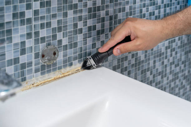 Best Mold Removal Company Near Me  in Newburgh, IN