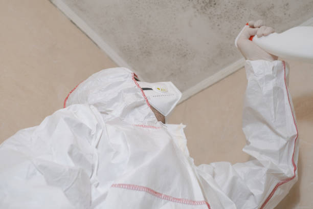 Best Home Mold Removal  in Newburgh, IN