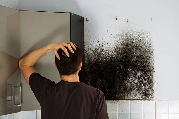 Best Crawl Space Mold Removal  in Newburgh, IN